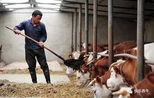 640.webp (2).jpg 640.webp (2).jpg