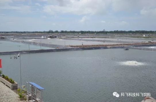 640.webp (3).jpg 640.webp (3).jpg