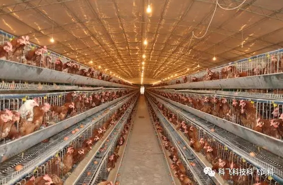 640.webp (5).jpg 640.webp (5).jpg