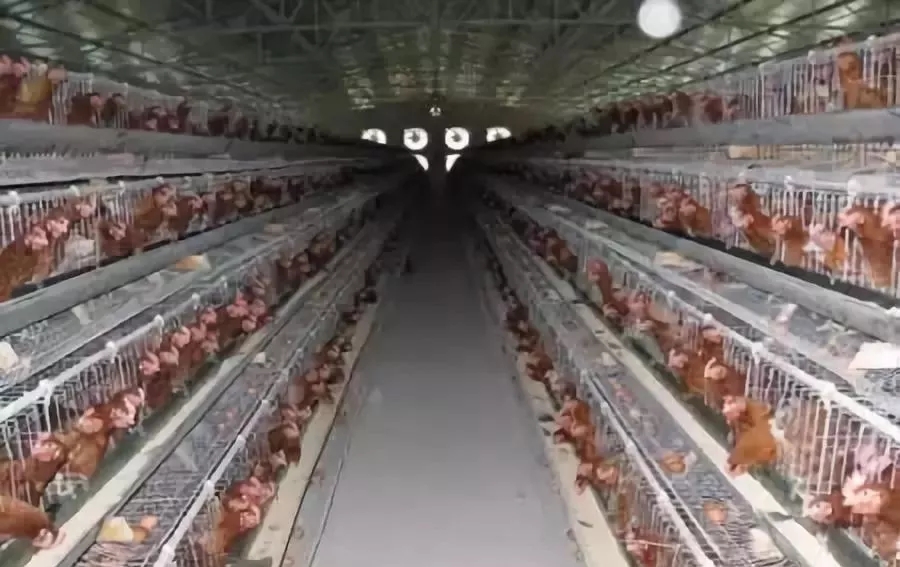 640.webp (6).jpg 640.webp (6).jpg