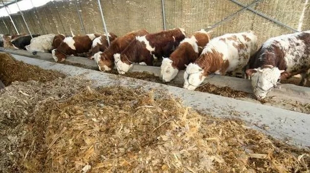 640.webp (15).jpg 640.webp (15).jpg