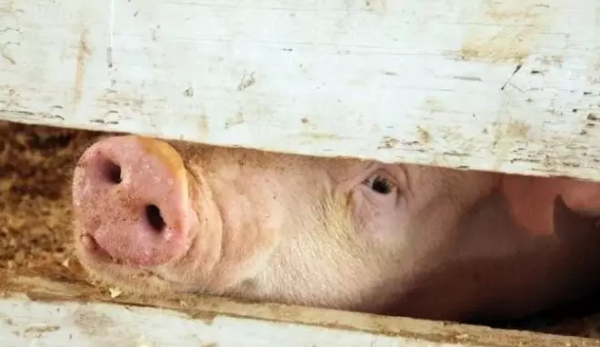 640.webp (17).jpg 640.webp (17).jpg