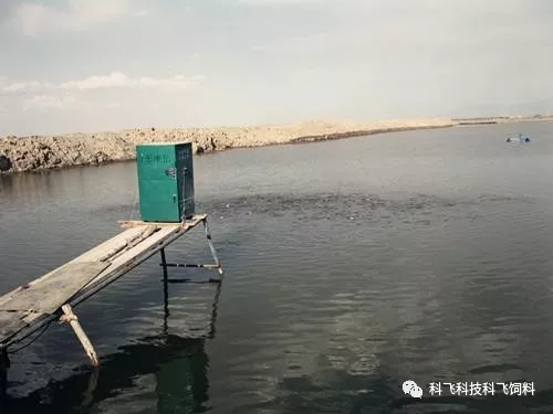 640.webp (21).jpg 640.webp (21).jpg