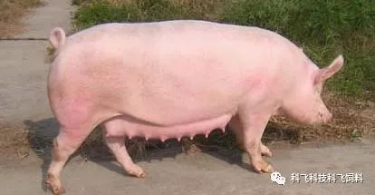 640.webp.jpg 640.webp.jpg