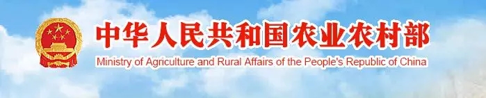 640.webp (2).jpg 640.webp (2).jpg