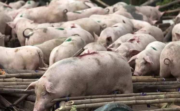 640.webp (9).jpg 640.webp (9).jpg