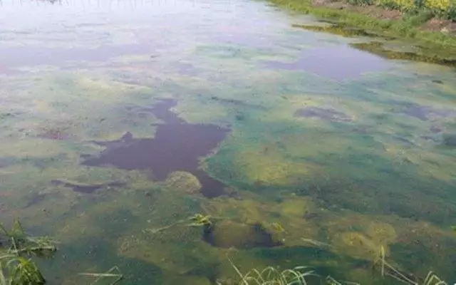 640.webp (1).jpg 640.webp (1).jpg