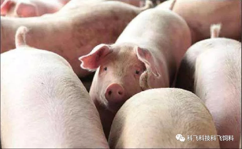 640.webp (3).jpg 640.webp (3).jpg