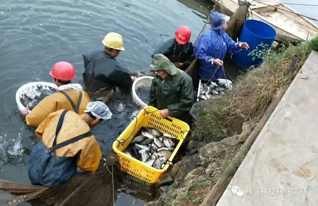 運輸用水.jpg 運(yùn)輸用水.jpg