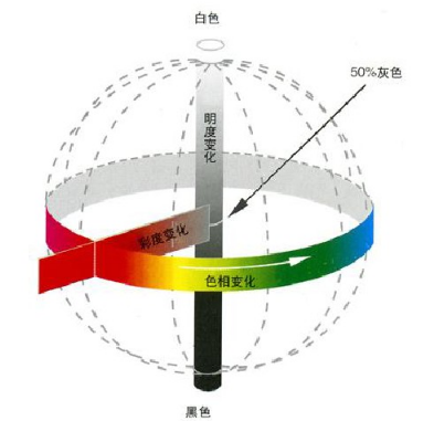 圖片1 (1).png 圖片1 (1).png