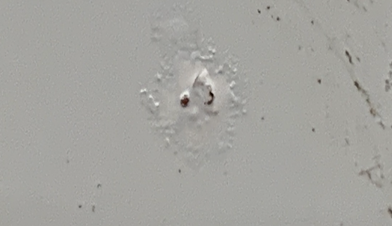 圖片3.png 圖片3.png