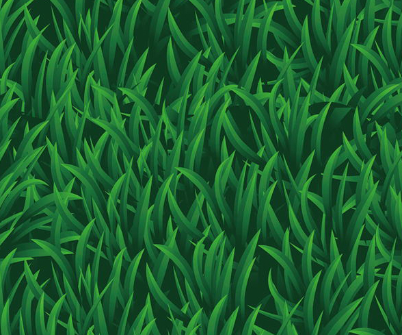 網紅小（xiǎo）草.jpg